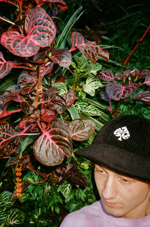 
                  
                    Load image into Gallery viewer, Ace Corduroy Bucket Hat
                  
                